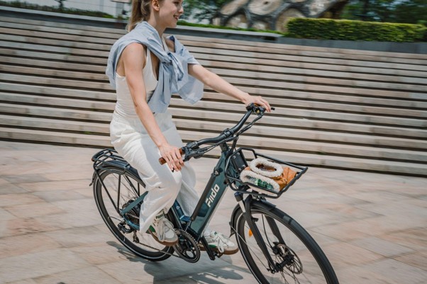 Lightweigt E-Bike Driver